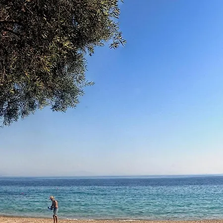 Boundos By The Daire Barbati